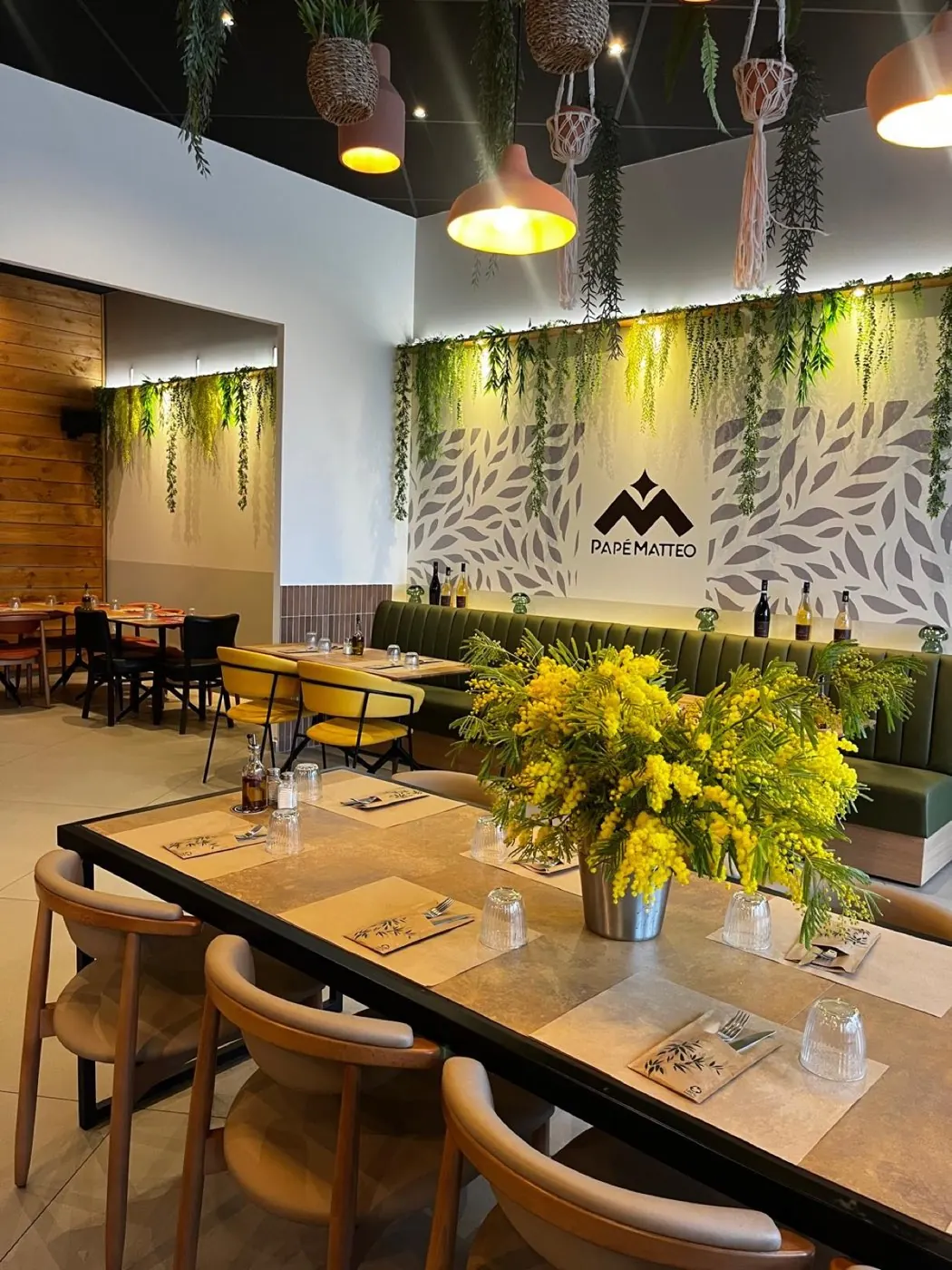 Bouquet de mimosa en gros plan sur une table, banquette et fresque végétale en arrière-plan